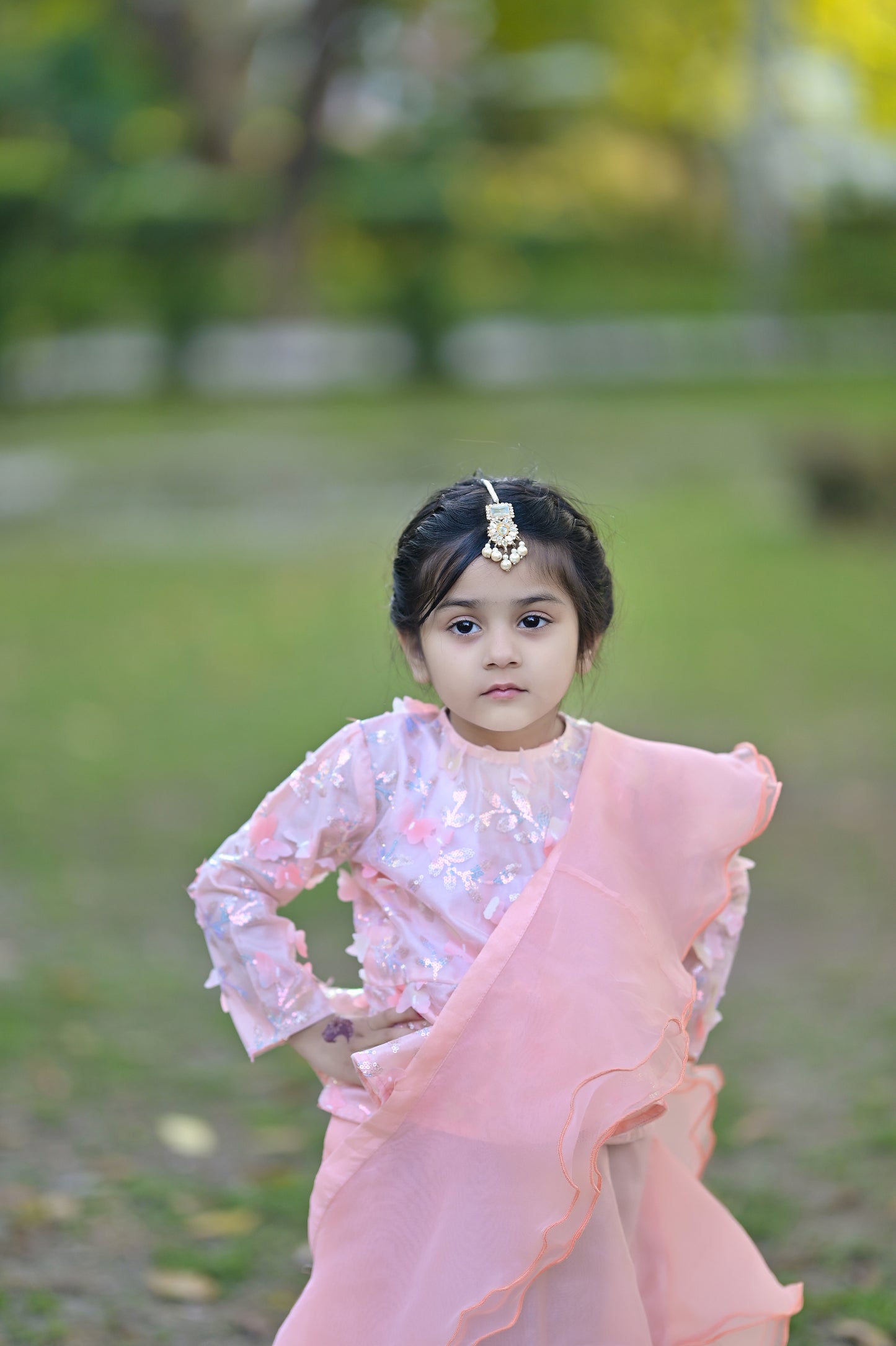 Stitched Peach Skirt Saree with Butterfly-Embellished Blouse