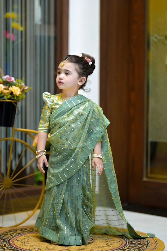 Green Moonlight Saree | LIOR.PK