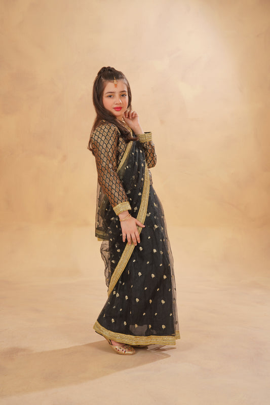 Stitched Black Stunning Stitched Net Saree