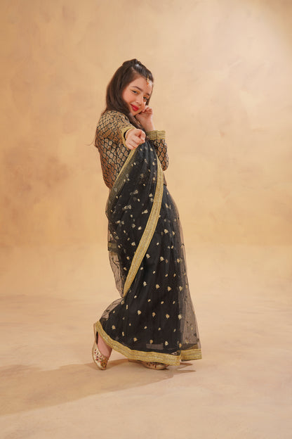 Stitched Black Stunning Stitched Net Saree