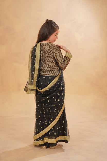 Stitched Black Stunning Stitched Net Saree