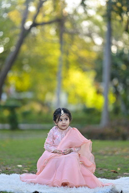 Stitched Peach Skirt Saree with Butterfly-Embellished Blouse