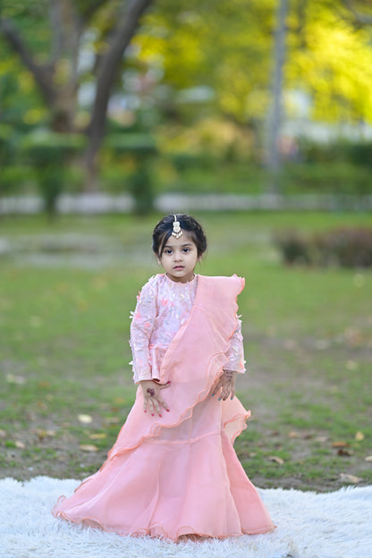 Stitched Peach Skirt Saree with Butterfly-Embellished Blouse