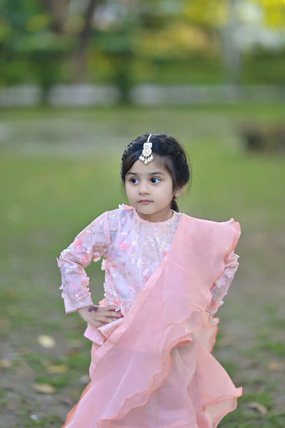 Stitched Peach Skirt Saree with Butterfly-Embellished Blouse