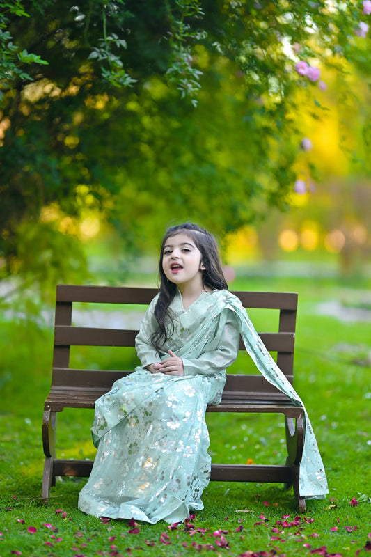 Girls Pistachio Saree | LIOR.PK