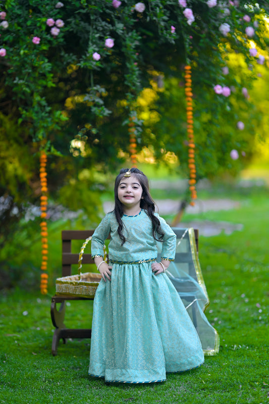 Sea Green Stitched Lehenga Choli – A Festive Must-Have!
