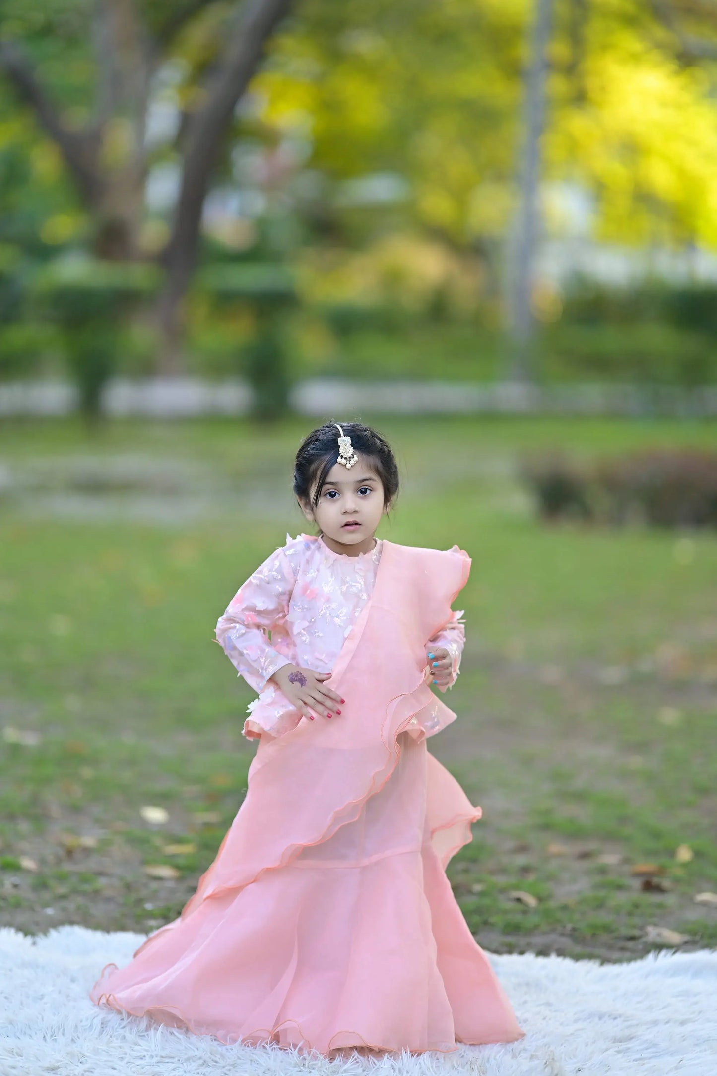 Peach Skirt Saree with Butterfly-Embellished Blouse | LIOR.PK