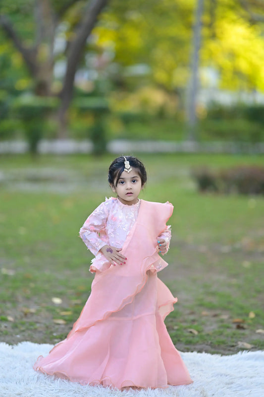 Peach Skirt Saree with Butterfly-Embellished Blouse | LIOR.PK