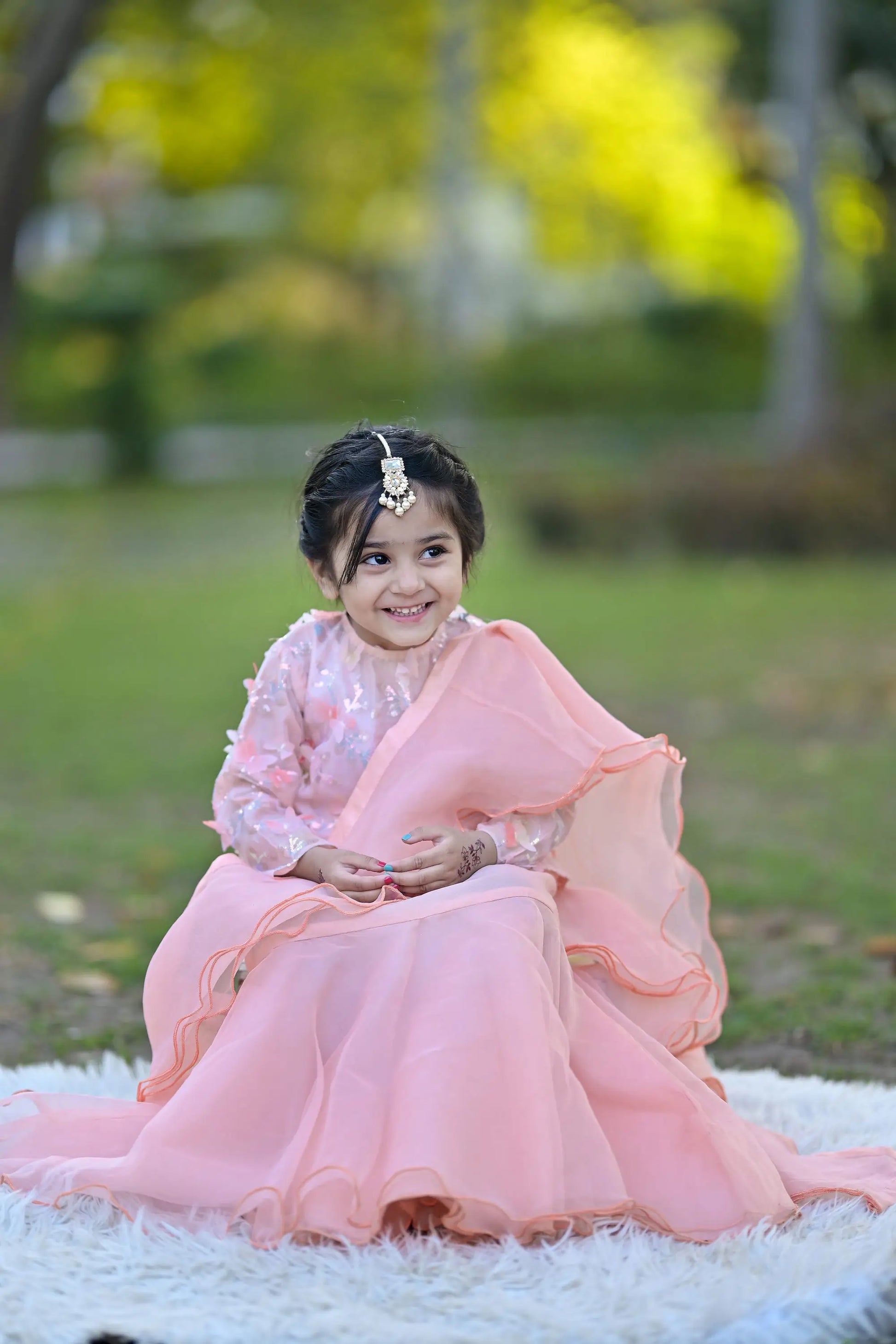 Peach Skirt Saree with Butterfly-Embellished Blouse | LIOR.PK