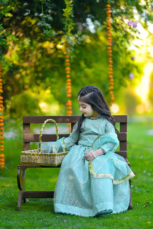 Sea Green Lehenga Choli | LIOR.PK