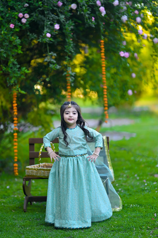 Sea Green Lehenga Choli | LIOR.PK