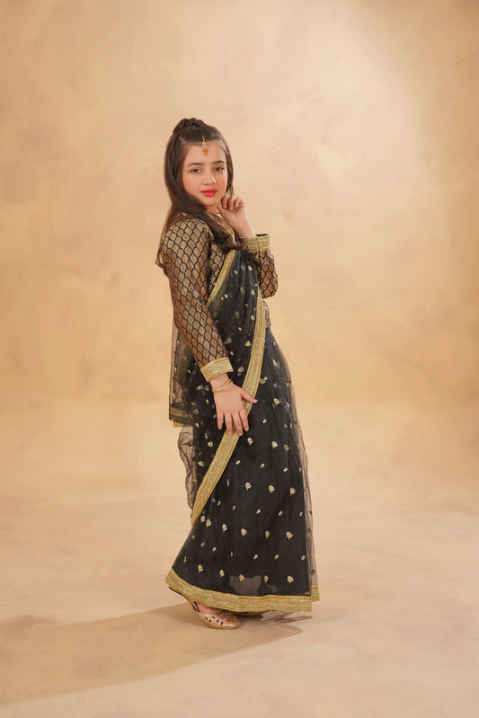 Stitched Black Net Saree | LIOR.PK